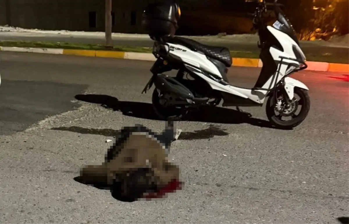 bicakli saldiri sanliurfada genc hayatini kaybetti kzlcxbca