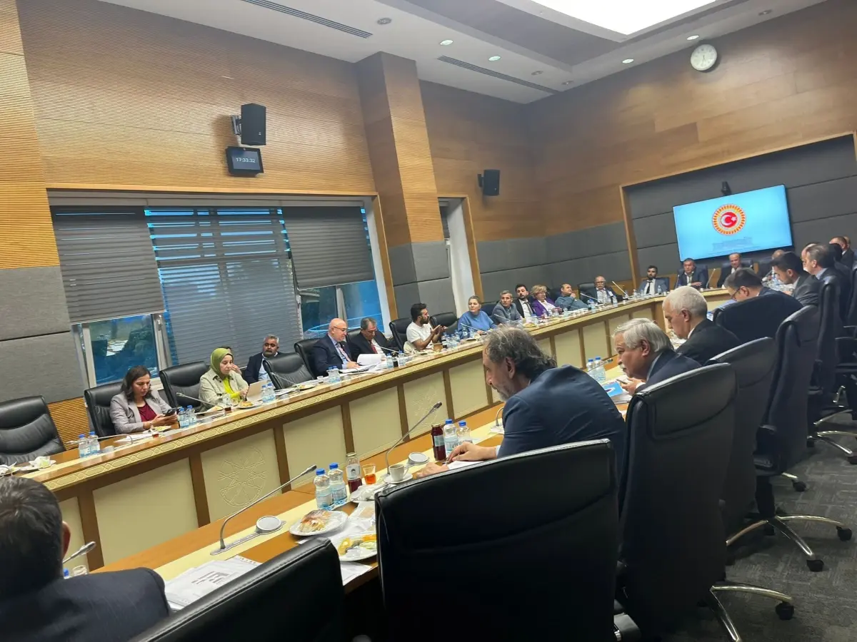 engelli bireylerin sorunlari tbmm komisyonunda ele alindi RLgXa682.jpg