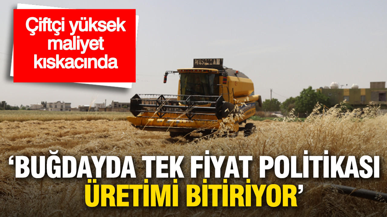 Çiftçilerin Yüksek Maliyet İle Mücadelesi: ‘Buğdayda Tek Fiyat Politikası Üretimi Tehdit Ediyor’