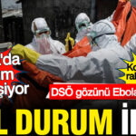 DSÖ, Ebola Salgınına Dikkat Çekti: Acil Durum İlanı Geliyor