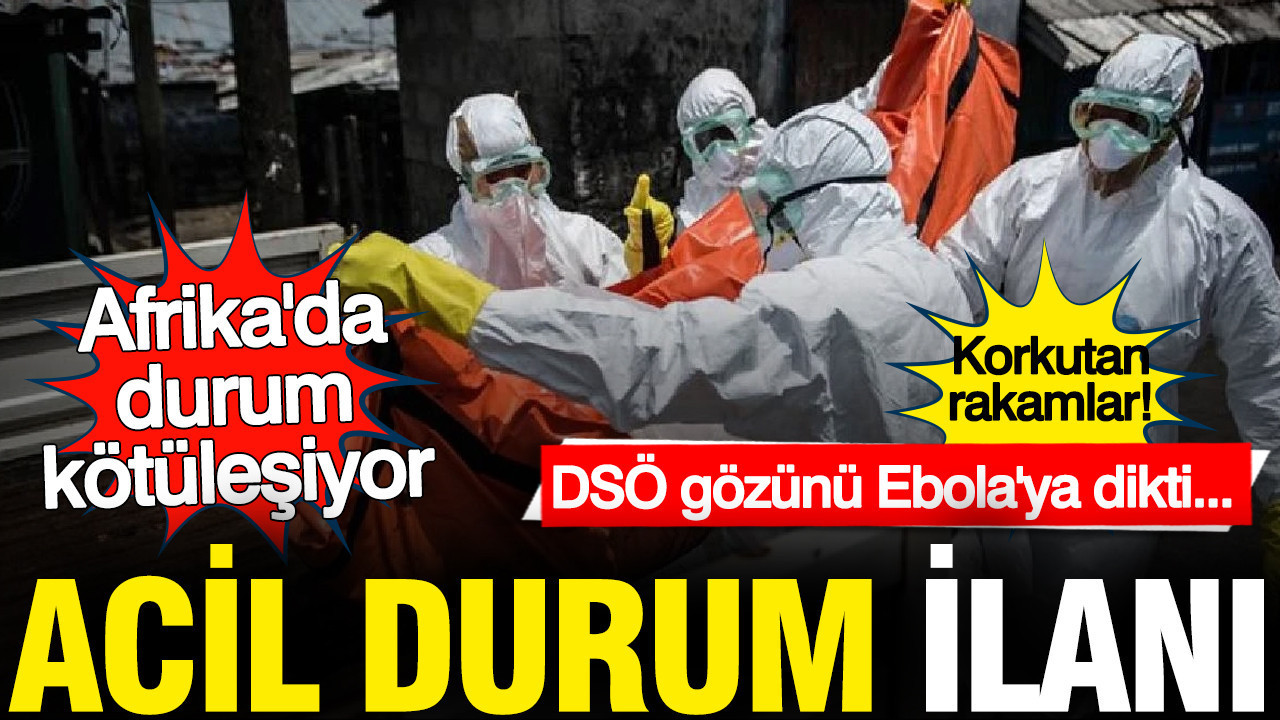 DSÖ, Ebola Salgınına Dikkat Çekti: Acil Durum İlanı Geliyor